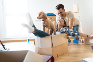 Dog Friendly Apartments in Northern Virginia